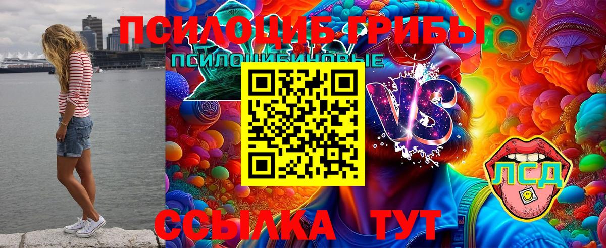 Серпухов  Псилоцибиновые грибы MAGIC MUSHROOMS  Вход с VPN  Галлюциногенные грибы Psilocybine cubensis 